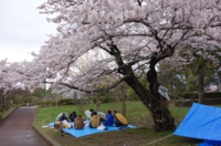 DSC09315.JPG