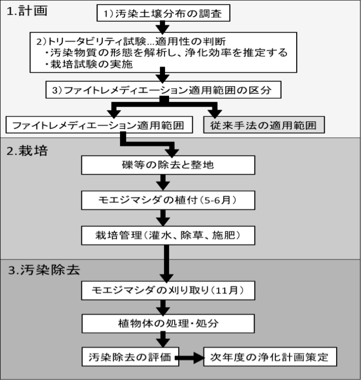 Fern_3.pdf